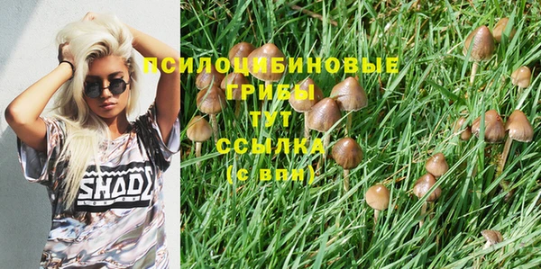 мяу мяу кристалл Алексин