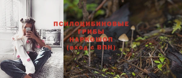 кристаллы Алзамай