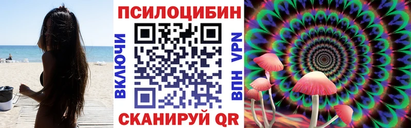 Псилоцибиновые грибы GOLDEN TEACHER  Купить закладки  Фокино 